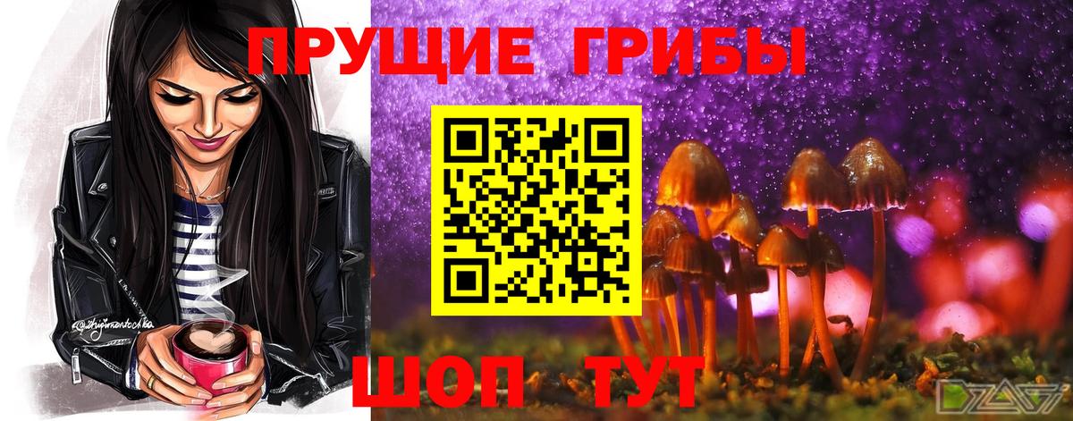 Орёл  Псилоцибиновые грибы мицелий  Псилоцибиновые грибы GOLDEN TEACHER  Вход с VPN 